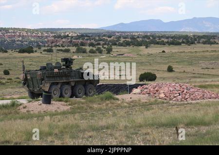 Un veicolo di ricognizione M1127 con 3rd Squadron, 61st Cavalry Regiment, 2nd Stryker Brigade Combat Team, 4th Fanteria Division si prepara ad impegnare gli obiettivi durante le qualifiche Stryker Gunnery Table V su Fort Carson, Colom., 18 agosto. Le qualifiche di Gunnery certificano gli equipaggi come squadre coese in grado di sparare, muovere e comunicare efficacemente come un equipaggio Stryker. Foto dell'esercito degli Stati Uniti di Major Jason Elmore. Foto Stock