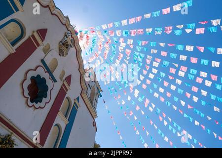 L'albero di Tule da Santa Maria del Tule, Messico. L'albero più grande in America Latina ha più di 2000 anni Foto Stock