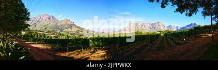 Una vista panoramica della cantina Delaire Graff Wine Estate a Stellenbosch, Sud Africa Foto Stock