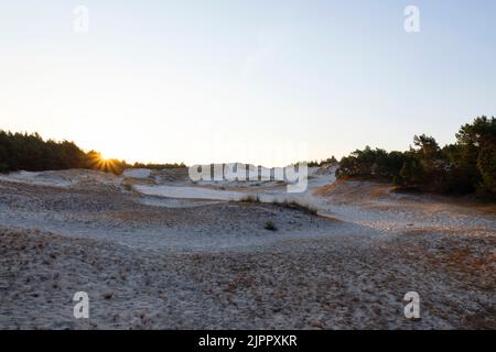 Dune di sabbia con erba a Lubiatowo. Natura selvaggia protetta costiera dal Mar Baltico. Alba con luce sulla sabbia, paesaggio arido all'alba. Foto Stock
