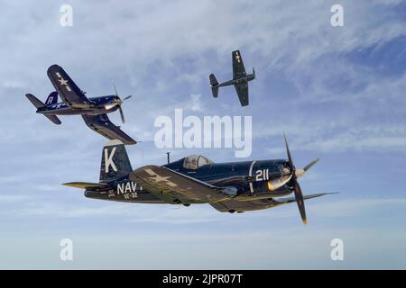 Vought F4U Corsairs con Grumman F6F Hellcat Foto Stock