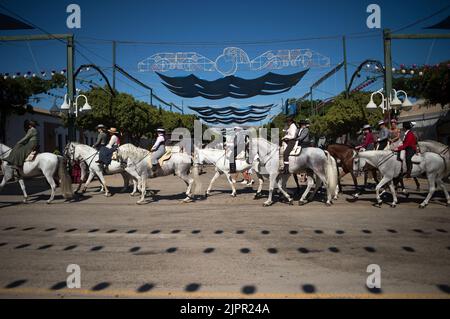 Un gruppo di cavalieri e di cavalieri sono visti a cavallo mentre prendono parte alla fiera di Malaga 2022at 'Cortijo de Torres' recinto fiera. Dopo due anni di cancellazione a causa della pandemia di coronavirus, migliaia di persone si riuniscono nelle strade principali della città per partecipare alla Fiera di Malaga in un'atmosfera festosa. Tra una settimana, migliaia di turisti e abitanti del luogo potranno assistere a concerti, balli di flamenco per le strade e altre attività come la fiera della corrida o gli spettacoli di cavalli. Foto Stock