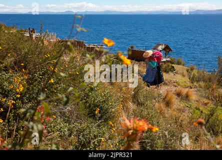 Una donna boliviana 'chola' in abiti tradizionali cammina sulla 'Isla de la Luna' con il lago Titicaca sullo sfondo, la provincia di la Paz, Bolivia. Foto Stock