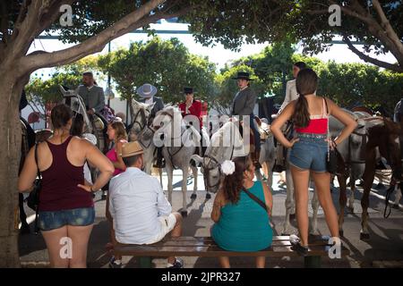 Malaga, Spagna. 19th ago, 2022. Un gruppo di cavalieri e di cavalieri si vedono riposati con i loro cavalli mentre prendono parte alla fiera di Malaga 2022 alla fiera del recinto 'Cortijo de Torres'. Dopo due anni di cancellazione a causa della pandemia di coronavirus, migliaia di persone si riuniscono nelle strade principali della città per partecipare alla Fiera di Malaga in un'atmosfera festosa. Tra una settimana, migliaia di turisti e abitanti del luogo potranno assistere a concerti, balli di flamenco per le strade e altre attività come la fiera della corrida o gli spettacoli di cavalli. (Credit Image: © Jesus Merida/SOPA Images via ZUMA Press Wire) Foto Stock