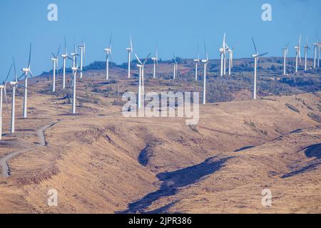 La più grande azienda eolica dello stato divenne operativa nel 2006 sulle West Maui Mountains, Hawaii. Foto Stock