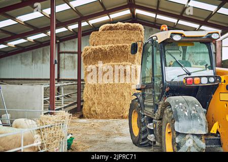 Pronto per il duty. Un veicolo agricolo in un fienile in un caseificio. Foto Stock