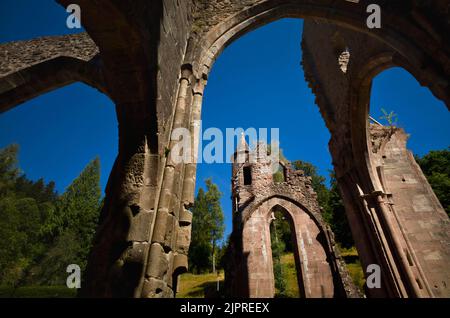 Rovine del monastero di tutti i Santi nel Parco Nazionale della Foresta Nera, alta Renchtal, tutti i Santi, Oppenau, Baden-Wuerttemberg, Germania Foto Stock