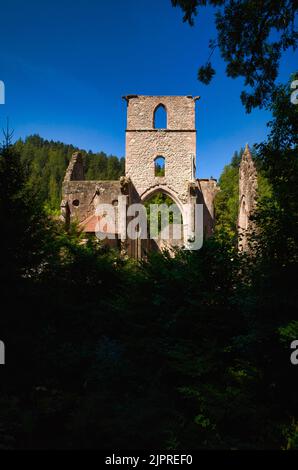 Rovine del monastero di tutti i Santi nel Parco Nazionale della Foresta Nera, alta Renchtal, tutti i Santi, Oppenau, Baden-Wuerttemberg, Germania Foto Stock