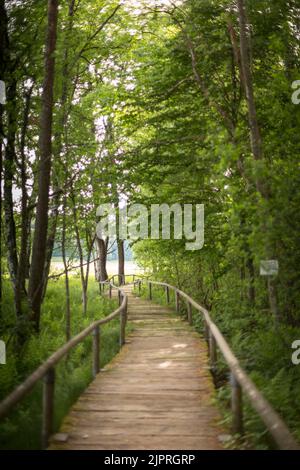 Percorso in legno attraverso la buca della torba, il fossato, lo Schopfloch, l'Albo Svevo, Germania Foto Stock