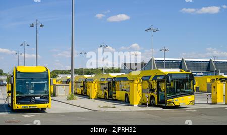 Punti di ricarica elettronica, deposito autobus BVG, Indira-Gandhi-Strasse, Hohenschoenhausen, Lichtenberg, Berlino, Germania Foto Stock