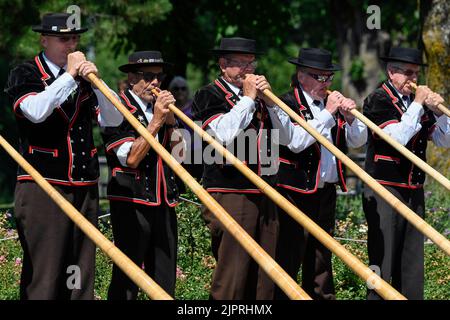 Alphorn Players, Interlaken, Svizzera Foto Stock