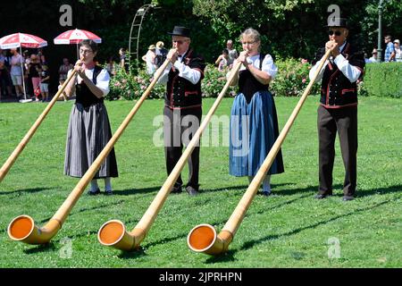 Alphorn Players, Interlaken, Svizzera Foto Stock