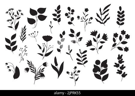 Set di fiori bianchi e neri. Doodle vettore di illustrazioni floreali collezione. Illustrazione Vettoriale