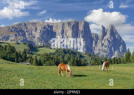 Paesaggio vicino a Hafling in Tirolo Sud, Italia Foto Stock