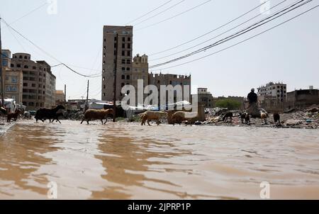 Sanaa. 19th ago, 2022. La foto scattata il 19 agosto 2022 mostra una strada allagata dopo una forte pioggia a Sanaa, Yemen. Credit: Mohammed Mohammed/Xinhua/Alamy Live News Foto Stock