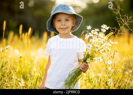 Carino bambino piccolo, ragazzo biondo, mangiare anguria in un bellissimo campo margherite al tramonto Foto Stock