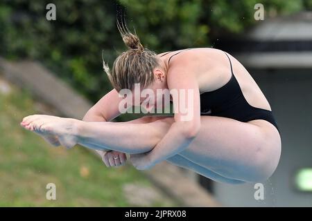 Roma, . 19th ago, 2022. Lauren Hallaselka durante i Campionati europei di nuoto Roma 2022. Roma 19th Agosto 2022 Photographer01 Credit: Agenzia indipendente per le foto/Alamy Live News Foto Stock