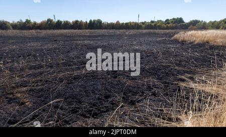 Un incendio d'erba scoppiò su Lambs Lane South a Rainham, Londra. Dieci vigili del fuoco e circa 70 vigili del fuoco hanno affrontato il fuoco. Una vasta area di erba ha Foto Stock