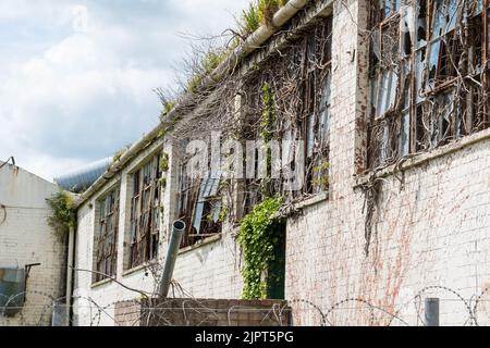 Un edificio / fabbrica derelitto. Foto Stock