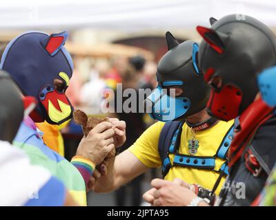 Magdeburgo, Germania. 20th ago, 2022. Partecipanti al CSD stand presso il mercato Vecchio. Il CSD Christopher Street Day di quest'anno a Magdeburgo si è terminato con una dimostrazione e un festival cittadino. Il motto 'Queer Europe - non ti darà mai in su' è stato il fulcro dell'evento. Credit: Matthias Bein/dpa/Alamy Live News Foto Stock