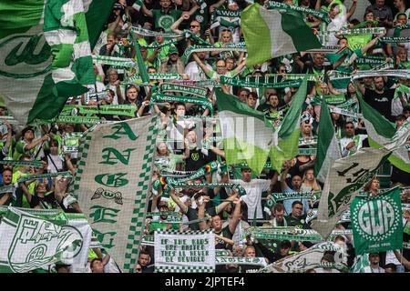 Wolfsburg, Germania. 20th ago, 2022. Calcio: Bundesliga, VfL Wolfsburg - FC Schalke 04, Giornata 3, Volkswagen Arena. I fan di VfL Wolfsburg sventolano le loro bandiere. Credit: Swen Pförtner/dpa - NOTA IMPORTANTE: In conformità ai requisiti della DFL Deutsche Fußball Liga e del DFB Deutscher Fußball-Bund, è vietato utilizzare o utilizzare fotografie scattate nello stadio e/o della partita sotto forma di sequenze di immagini e/o serie di foto simili a video./dpa/Alamy Live News Foto Stock
