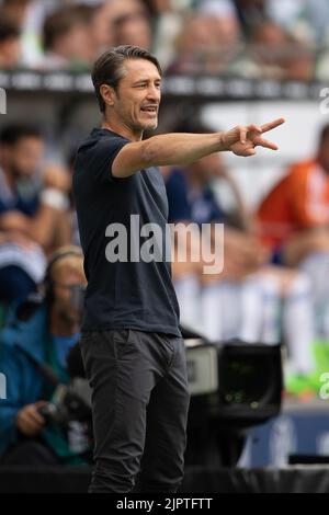 Wolfsburg, Germania. 20th ago, 2022. Calcio: Bundesliga, VfL Wolfsburg - FC Schalke 04, Giornata 3, Volkswagen Arena. Wolfsburg allenatore Niko Kovac gesti. Credit: Swen Pförtner/dpa - NOTA IMPORTANTE: In conformità ai requisiti della DFL Deutsche Fußball Liga e del DFB Deutscher Fußball-Bund, è vietato utilizzare o utilizzare fotografie scattate nello stadio e/o della partita sotto forma di sequenze di immagini e/o serie di foto simili a video./dpa/Alamy Live News Foto Stock