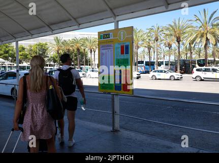 Palma, Spagna. 20th ago, 2022. Persone che cercano un taxi nella sala degli arrivi dell'aeroporto di Palma de Mallorca. Credit: Clara Margais/dpa/Alamy Live News Foto Stock