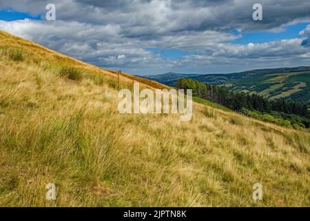 Attraversate la collina in pendenza di Tor y Foel per Sugarloaf in lontananza e la Valle di Duffryn Crawnon sulla destra Foto Stock