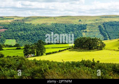 La splendida vista da Bwlch y Waun e dalla valle di Duffryn Crawnon alle colline sull'altro lato. Foto Stock