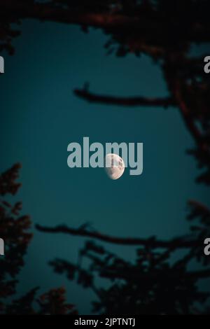 Una mezza luna sul cielo notturno Foto Stock