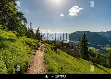 Arrampicandosi sulla Via Ferrata di Edelrid fino alla cima di Iseler nei pressi di Oberjoch Bad Hindelang nei monti Allgau Foto Stock
