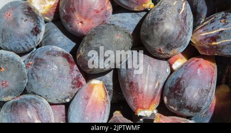 Fichi freschi appena raccolti dall'albero. Foto da studio con luce naturale Foto Stock