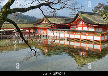 Itsukushima-jinja è un santuario shintoista dell'isola di Miyajima, città di Hatsukaichi, prefettura di Hiroshima, Giappone. Foto Stock