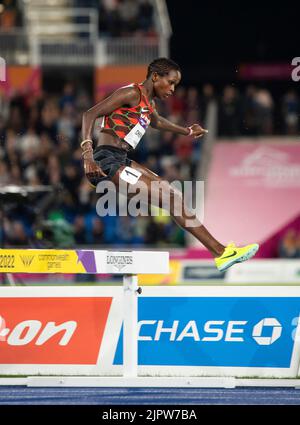 Jackline Chepkoech del Kenya si è sfidato nella finale femminile di steeplechase del 3000m ai Commonwealth Games all'Alexander Stadium di Birmingham, Inghilterra, ON Foto Stock