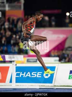 Jackline Chepkoech del Kenya si è sfidato nella finale femminile di steeplechase del 3000m ai Commonwealth Games all'Alexander Stadium di Birmingham, Inghilterra, ON Foto Stock