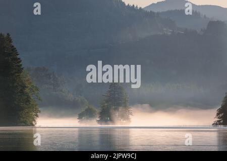 All'alba, la nebbia scorre sul lago Mayfield al parco di Ike Kinswa Foto Stock