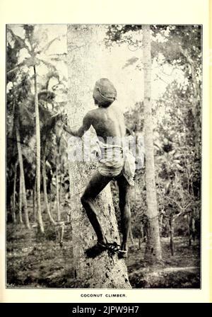 L'agricoltore tropicale e la rivista della Società agricola di Ceylon Foto Stock