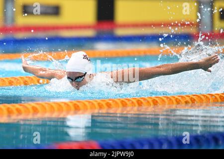 Sydney, Australia. 20th ago, 2022. La squadra di nuoto Emma McKeon dell'Australia compete nelle 3 x 50m skins delle farfalle delle donne durante il duello 2022 nella piscina che si tiene al Sydney Olympic Park Aquatic Centre. Emma McKeon ha vinto l'evento. (Foto di Luis Veniegra/SOPA Images/Sipa USA) Credit: Sipa USA/Alamy Live News Foto Stock