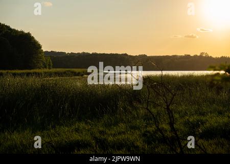 tramonto su un lago marshy del midwest con le nuvole Foto Stock