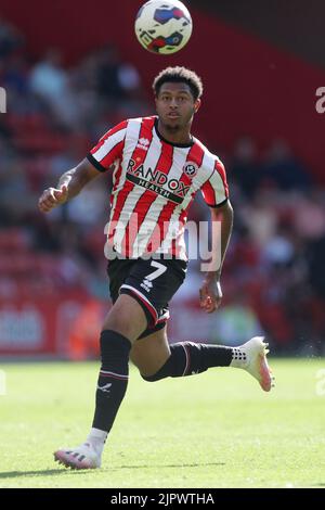 Rhian Brewster di Sheffield United in azione durante la partita del campionato Sky Bet a Bramall Lane, Sheffield. Data immagine: Sabato 20 agosto 2022. Foto Stock