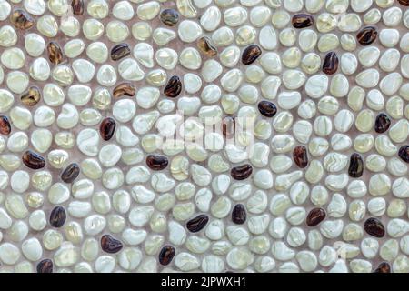 Sfondo di ciottoli bianchi e marroni naturalmente lucidati. Foto Stock