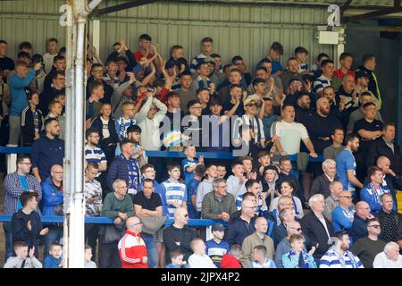 Greenock, Scozia, Regno Unito. 20th agosto 2022; Cappielow Park, Greenock, Scozia: Scottish League Championship football, Greenock Morton versus Dundee; Morton Fans Credit: Action Plus Sports Images/Alamy Live News Foto Stock