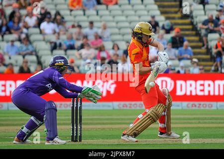 Birmingham, Regno Unito. 19th ago, 2022. Birmingham, 19th 2022 agosto Phoenix bat durante le cento Birmingham Phoenix vs Northern Super Chargers - Double Bill Women & Mens games (Karl W Newton/SPP) Credit: SPP Sport Press Photo. /Alamy Live News Foto Stock