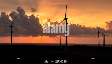 Turbine eoliche di fronte al mare all'alba; Isola di Capo Rizzuto, Crotone, Calabria, Italia Foto Stock