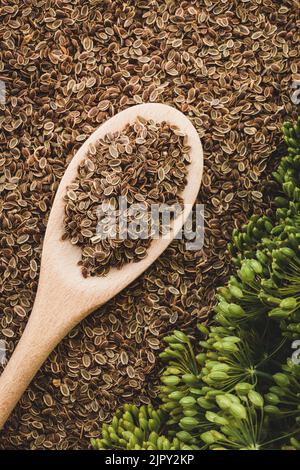 semi di aneto in cucchiaio di legno, fiori di aneto freschi, giacitura piatta verticale, spazio copia Foto Stock