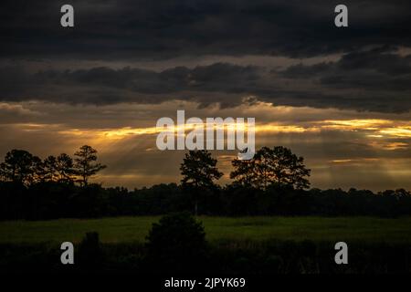 Le nuvole drammatiche soffocano la mattina presto mentre i raggi di luce rimanenti attraversano i campi. Raleigh, North Carolina. Foto Stock