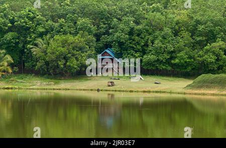 Un paesaggio da sogno, una piccola casa in lussureggianti boschi tropicali verdi, vicino ad un lago tranquillo. Foto Stock