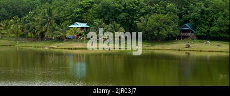 Un paesaggio da sogno, una piccola casa in lussureggianti boschi tropicali verdi, vicino ad un lago tranquillo. Foto Stock