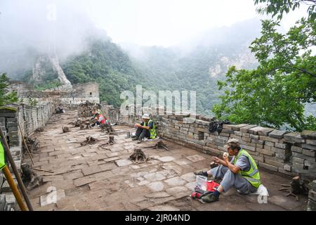 (220821) -- PECHINO, 21 agosto 2022 (Xinhua) -- i lavoratori pranzano in una parte di restauro basata sulla ricerca della sezione Jiankou della Grande Muraglia a Pechino, capitale della Cina, 17 agosto 2022. Situato nel quartiere suburbano Huairou di Pechino, la sezione Jiankou della Grande Muraglia, una volta conosciuta tra gli escursionisti come "la Grande Muraglia deserta", si ritiene sia una delle parti più pericolose della reliquia. Un progetto di restauro, incentrato principalmente su una parete lunga 1.678 metri con 8 torri di avvistamento nella parte occidentale della sezione di Jiankou, dovrebbe essere completato entro la fine di ottobre. Il progetto è implementato Foto Stock