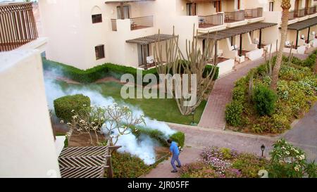 SHARM EL SHEIKH, EGITTO - 5 APRILE 2018 : Hotel Jaz Belvedere. L'uomo lavora l'appannamento per eliminare le zanzare con una speciale macchina per il fumo. Nubi di fumo bianco aumentano. Foto di alta qualità Foto Stock
